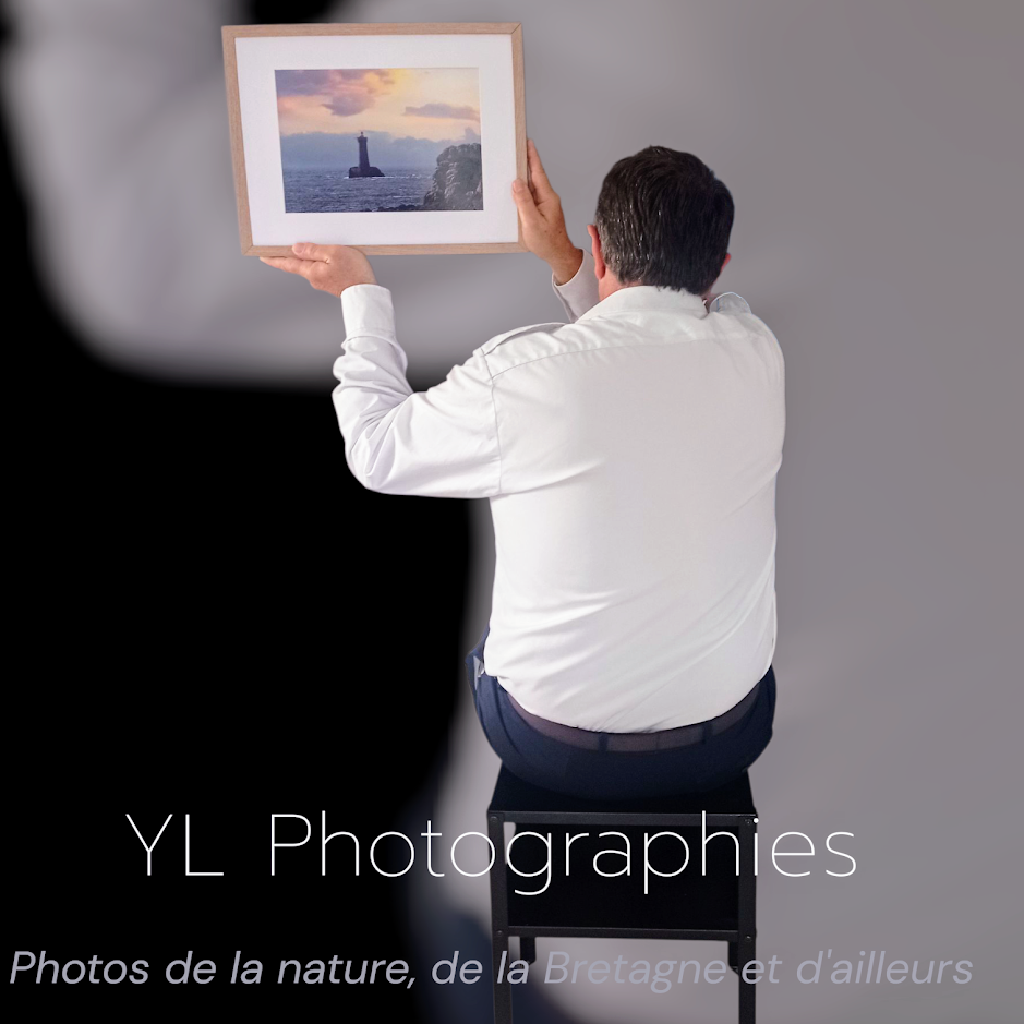 Photographies
